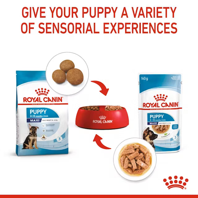 Royal Canin Maxi Gravy Wet Puppy Food 140g (10 PK)